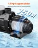 1.5 HP Above Ground Swimming Pool Pump Single Speed 122 GPM 3450 RPM 220V